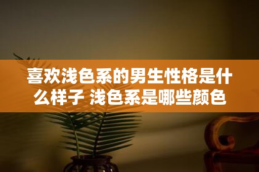 喜欢浅色系的男生性格是什么样子 浅色系是哪些颜色