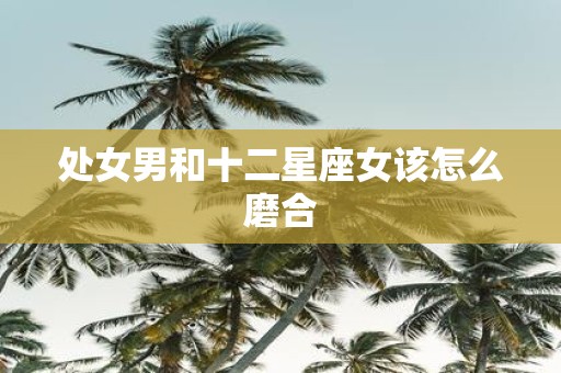 处女男和十二星座女该怎么磨合