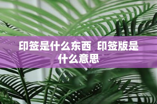 印签是什么东西 印签版是什么意思