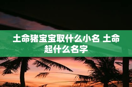土命猪宝宝取什么小名 土命起什么名字