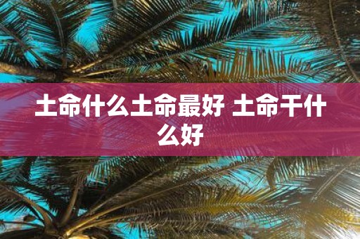 土命什么土命最好 土命干什么好