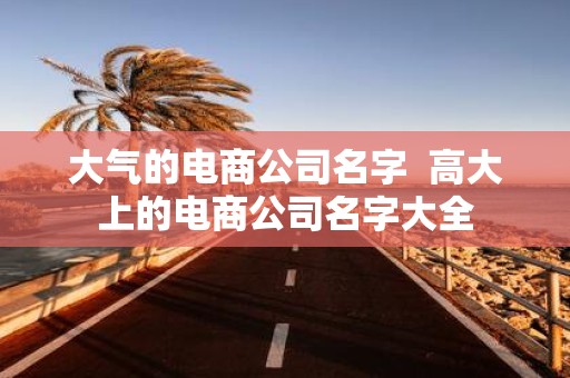 大气的电商公司名字 高大上的电商公司名字大全