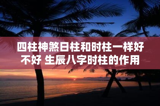 四柱神煞日柱和时柱一样好不好 生辰八字时柱的作用