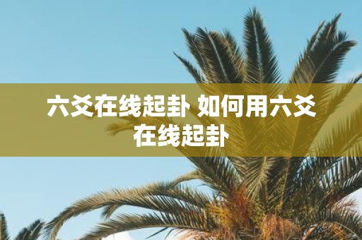 六爻在线起卦 如何用六爻在线起卦