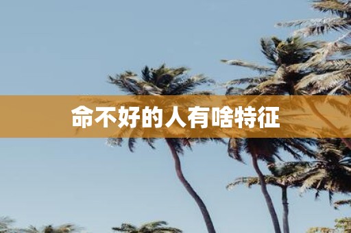命不好的人有啥特征