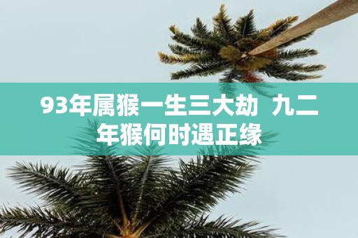 93年属猴一生三大劫 九二年猴何时遇正缘