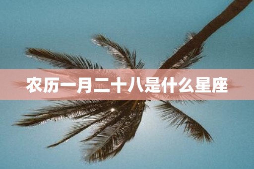 农历一月二十八是什么星座