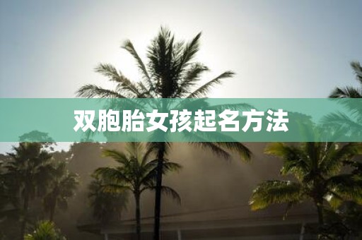 双胞胎女孩起名方法