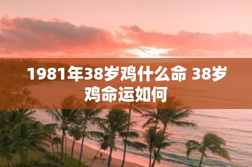 1981年38岁鸡什么命 38岁鸡命运如何