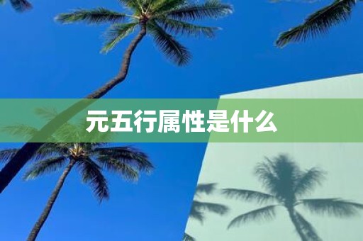 元五行属性是什么