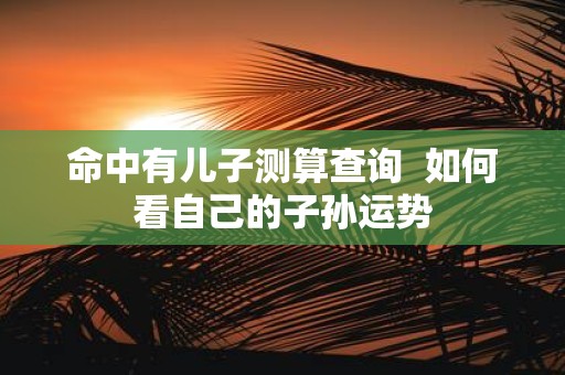 命中有儿子测算查询 如何看自己的子孙运势