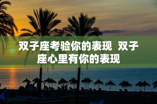 双子座考验你的表现 双子座心里有你的表现