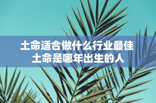 土命适合做什么行业最佳 土命是哪年出生的人