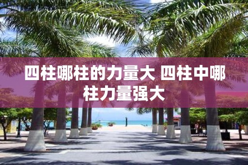 四柱哪柱的力量大 四柱中哪柱力量强大