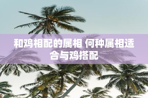 和鸡相配的属相 何种属相适合与鸡搭配