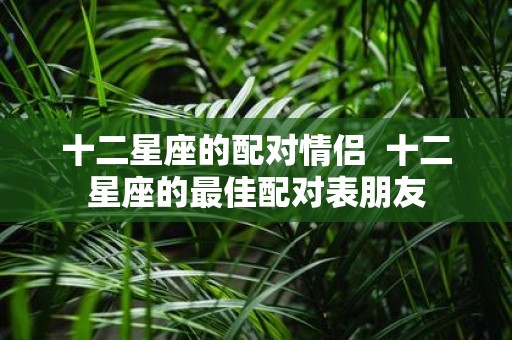 十二星座的配对情侣 十二星座的最佳配对表朋友