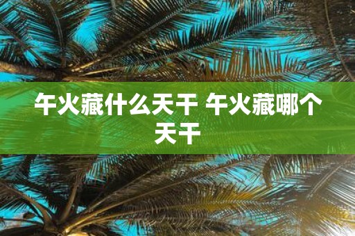 午火藏什么天干 午火藏哪个天干