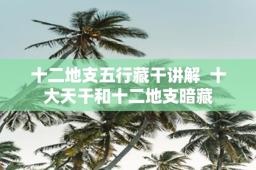 十二地支五行藏干讲解 十大天干和十二地支暗藏