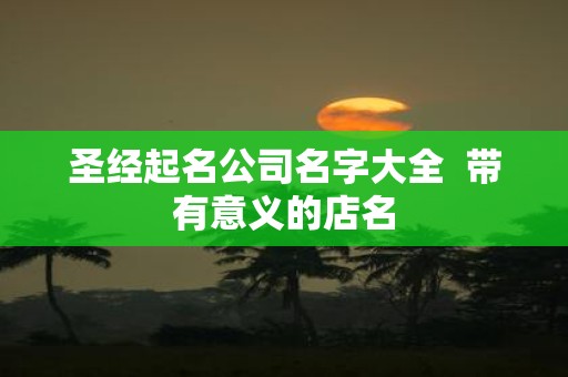 圣经起名公司名字大全 带有意义的店名