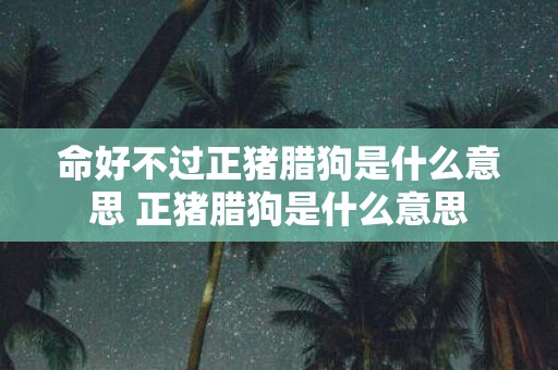 命好不过正猪腊狗是什么意思 正猪腊狗是什么意思