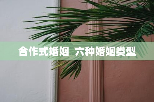 合作式婚姻 六种婚姻类型