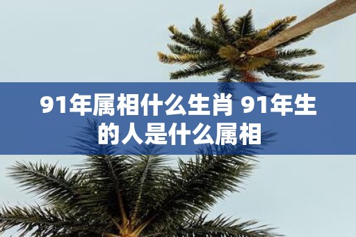 91年属相什么生肖 91年生的人是什么属相