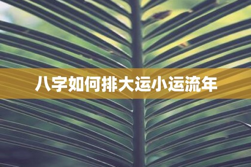 八字如何排大运小运流年
