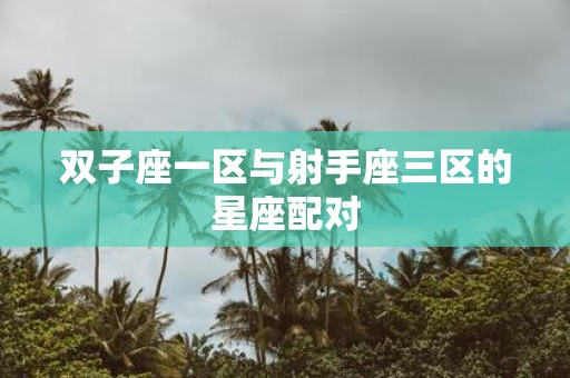 双子座一区与射手座三区的星座配对