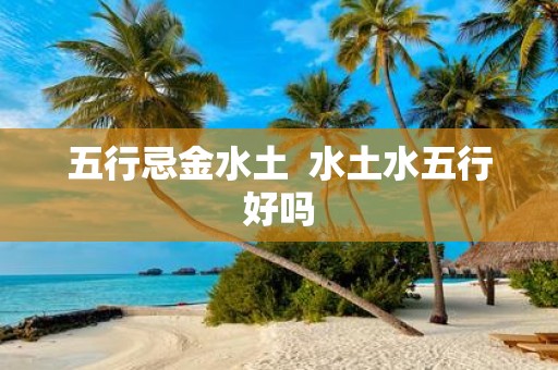 五行忌金水土 水土水五行好吗