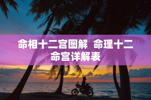 命相十二宫图解 命理十二命宫详解表