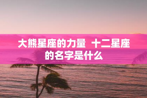大熊星座的力量 十二星座的名字是什么