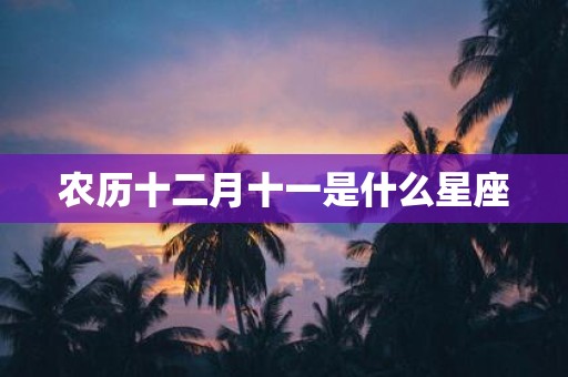 农历十二月十一是什么星座