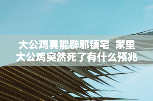 大公鸡真能辟邪镇宅 家里大公鸡突然死了有什么预兆