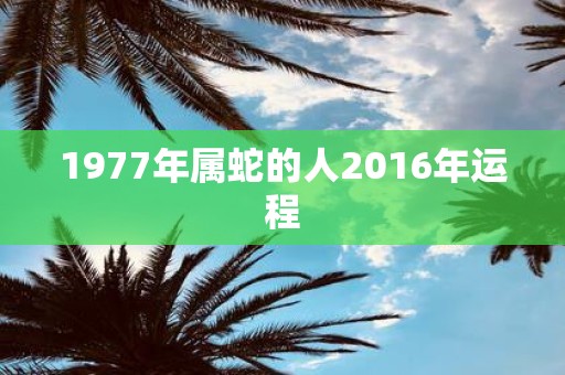 1977年属蛇的人2016年运程
