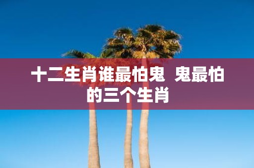 十二生肖谁最怕鬼 鬼最怕的三个生肖