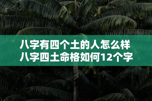 八字有四个土的人怎么样 八字四土命格如何12个字
