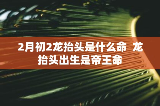 2月初2龙抬头是什么命 龙抬头出生是帝王命