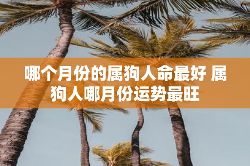 哪个月份的属狗人命最好 属狗人哪月份运势最旺