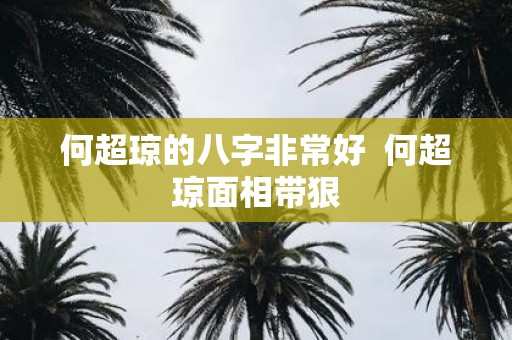 何超琼的八字非常好 何超琼面相带狠