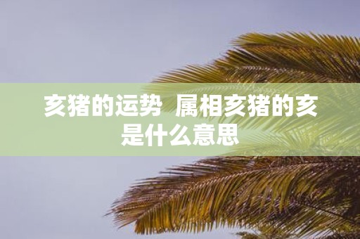 亥猪的运势 属相亥猪的亥是什么意思