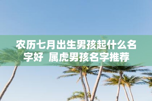 农历七月出生男孩起什么名字好 属虎男孩名字推荐