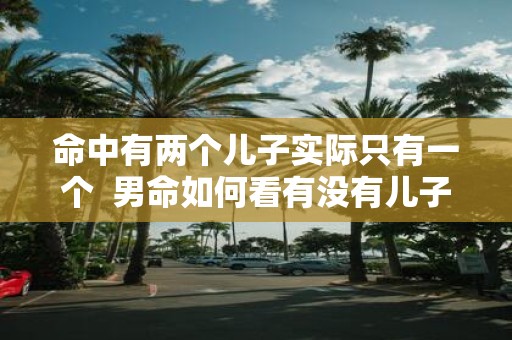 命中有两个儿子实际只有一个 男命如何看有没有儿子