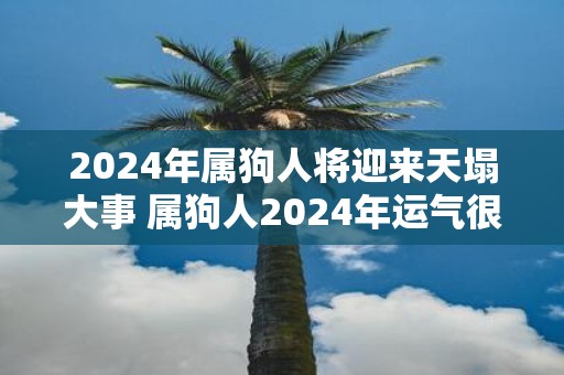 2025年属狗人将迎来天塌大事 属狗人2025年运气很差吗