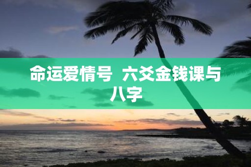 命运爱情号 六爻金钱课与八字