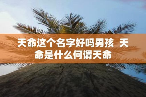 天命这个名字好吗男孩 天命是什么何谓天命
