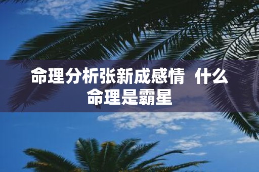 命理分析张新成感情 什么命理是霸星