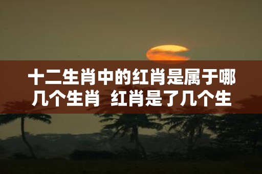 十二生肖中的红肖是属于哪几个生肖 红肖是了几个生肖