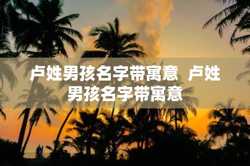 卢姓男孩名字带寓意 卢姓男孩名字带寓意