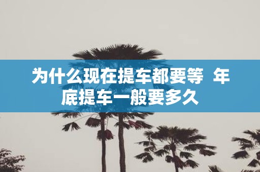 为什么现在提车都要等 年底提车一般要多久