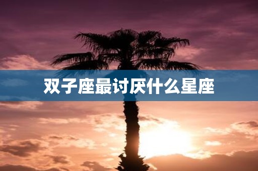 双子座最讨厌什么星座
